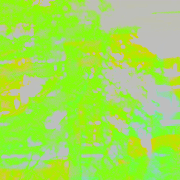 10 x 10 #5