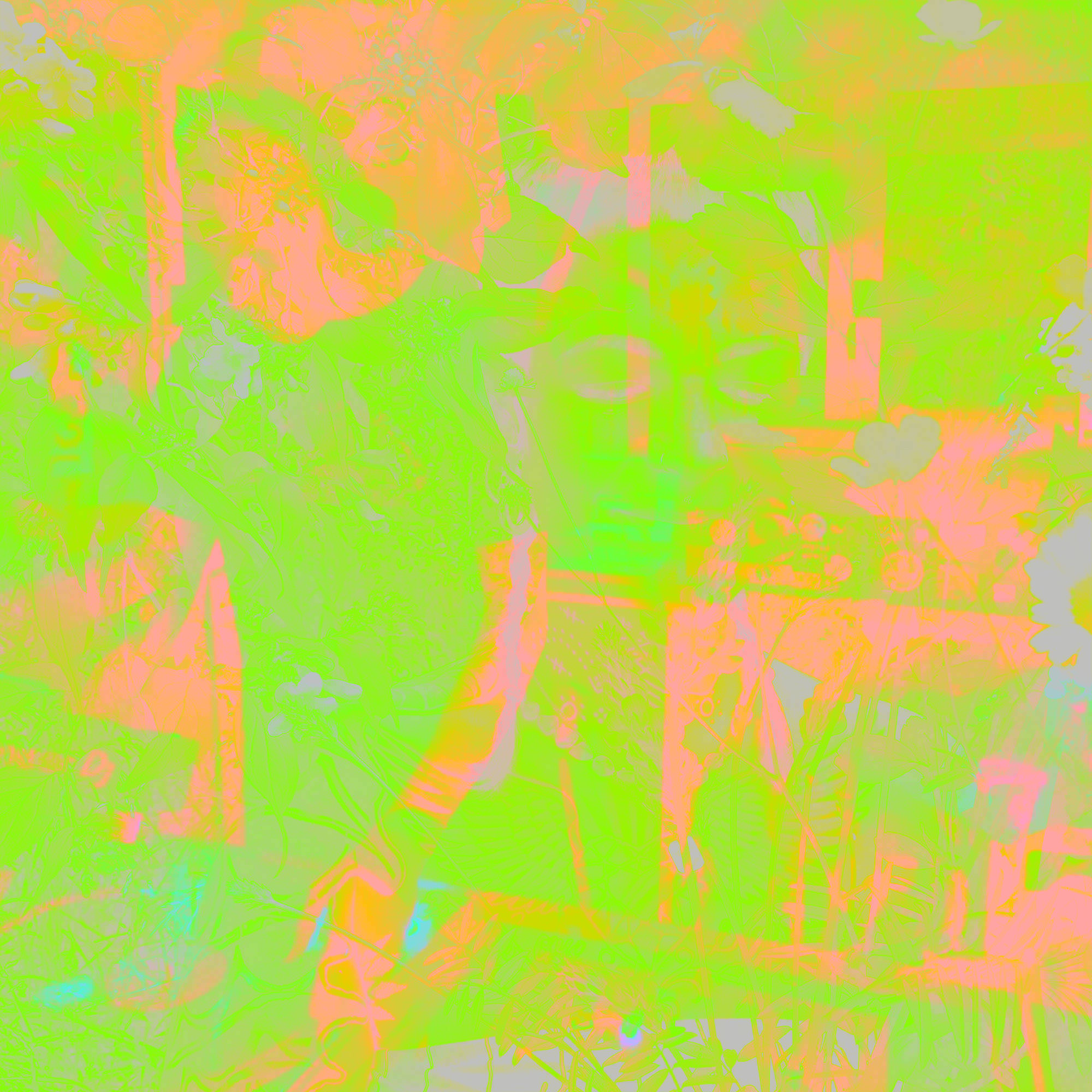 playlist image